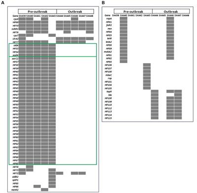 Genomic and phenotypic characterization of multidrug-resistant Salmonella enterica serovar Reading isolates involved in a turkey-associated foodborne outbreak